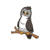 Kawaii Bearded Owl
