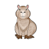 Kawaii Capybara