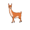 Kawaii Guanaco