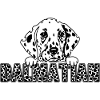 Dalmatian
