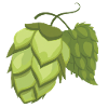 Hopfen - Hopfendolde