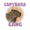 Wasserschwein Capybara Fan Club Cappybara Fans
