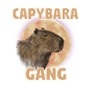 Wasserschwein Capybara Fan Club Cappybara Fans