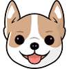 Happy Dog Face
