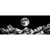 Moonlight