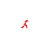 Capoeira