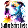 American Staffordshire