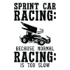 Sprint Car Dirt Track Racing