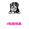 Bouvier bernois