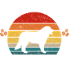 Bouvier bernois