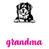 Bernese Mountain Dog