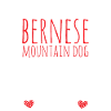 Bouvier bernois