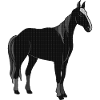 Pferd