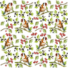 Bunte Vögel