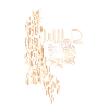 Wildcat,Gold,Graffiti,Leo Pattern,Leopard