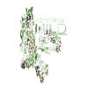 Attention Wild,Wildcat,Leopard,Camouflage