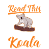 Koala Gift Koala Bear