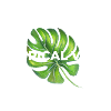 Tropical Vibes
