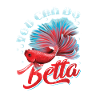 Keeping of betta fish