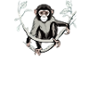 Welcome to the jungle