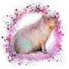 Capybara,Pig,Graffiti,Capybara,Pink