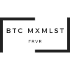 BTC maximalist