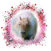 Capybara,Pig,Graffiti,Capybara,Pink