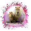 Capybara,Pig,Graffiti,Capybara,Mother