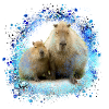 Capybara,Pig,Graffiti,Capybara,Duo