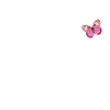 Spring | Spring
