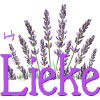 Lieke