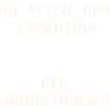 Die Evolution endet beim Hundemensch