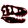 Tarbosaurus Fossil Skull