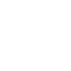 Tarbosaurus Fossil