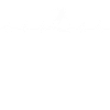 Surfer Heartbeat