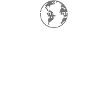 Projet Stop Willow