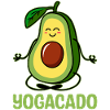 Yogacado Avocado Guacamole Lovers Avocados