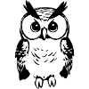 Cute owl