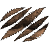 Bear's Paw