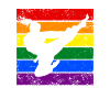 Women Taekwondo LGBTQ