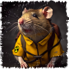 Rats can sniff out mines