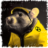 Ratten im Kampfmittelbeseitigungsdienst