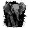 Mignon bébé éléphant