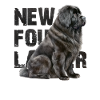 Newfoundlander
