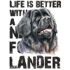 Newfoundlander