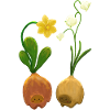 Frühblüher