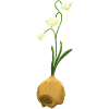 Märzenbecher