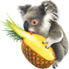 Koala and pineapple