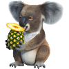 Koala und Ananas