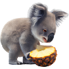 Koala and pineapple